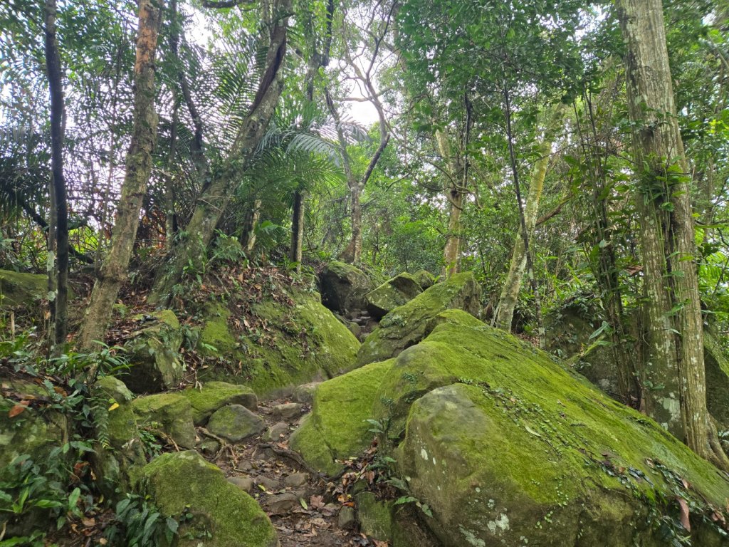 新溪洲山封面圖