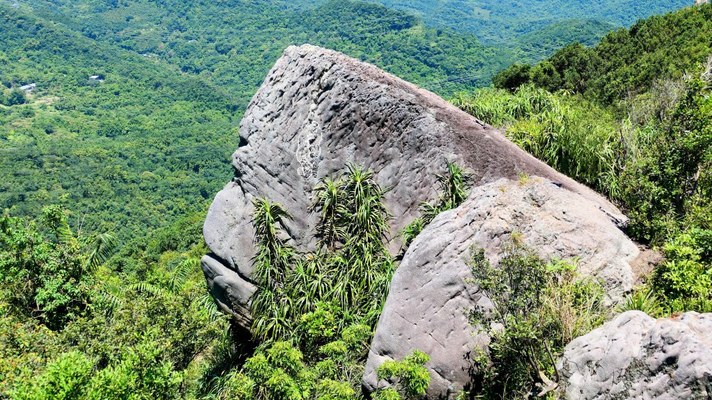 新山夢湖封面圖