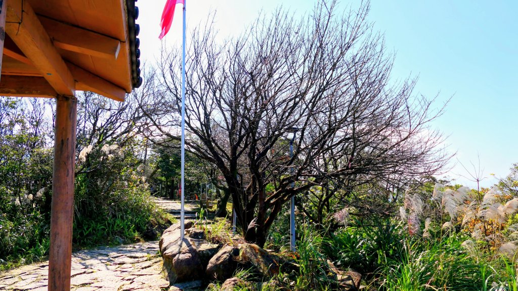 水返之城_2982936