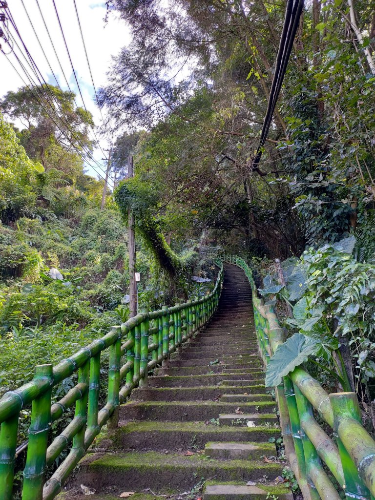 大溪小角仔-三層-尾寮崎古道-街口溪生態水岸步道_1719789