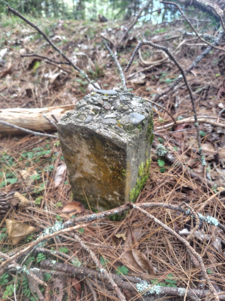 東埔走八通關古道訪龍貓公車繞對關山O型_2963015