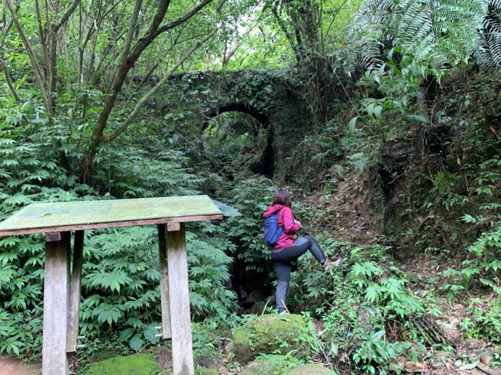 平溪美的不只有天燈－東勢格越嶺步道_712654