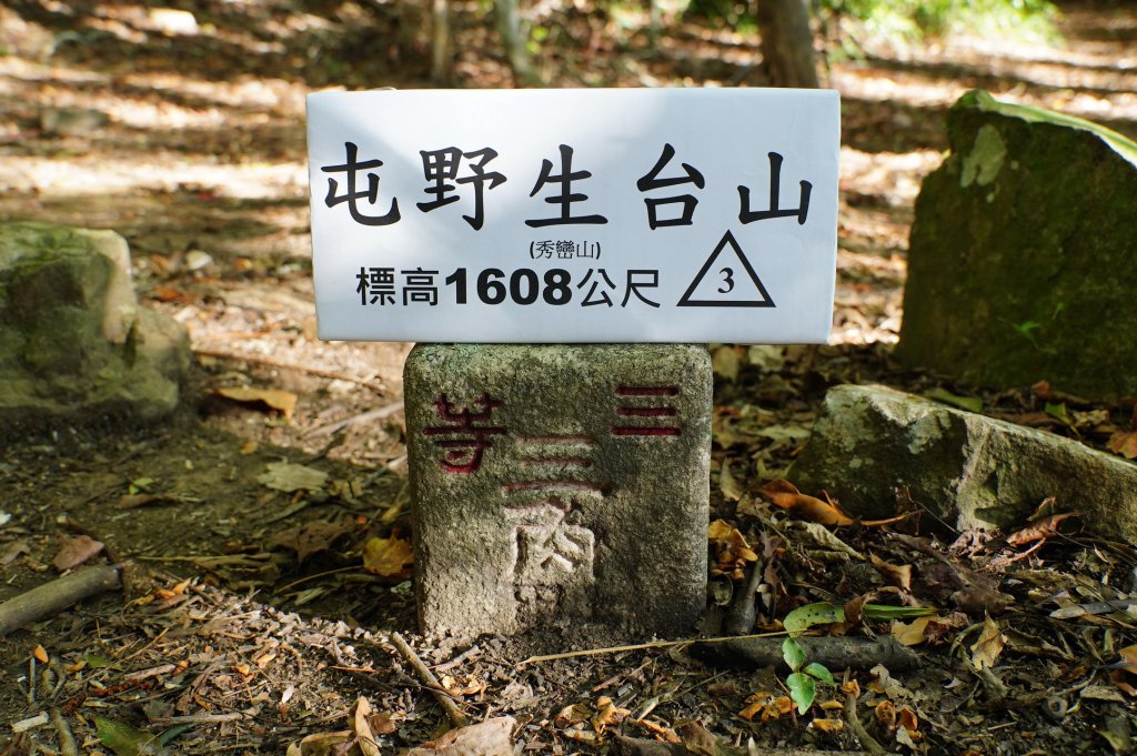 新竹 尖石 屯野生台山、石麻達山、錦屏山_2904261