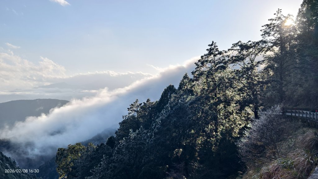 #霧淞 #雲海 #雲瀑 #霧虹 #太平山 #望洋山 #觀雲步道 #翠峰道路  2/8_2995283