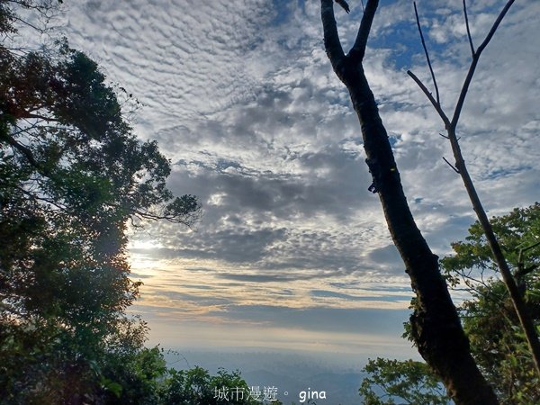 【台中北屯】第一次遇上大坑步道群起霧。 大坑三號步道_2695135
