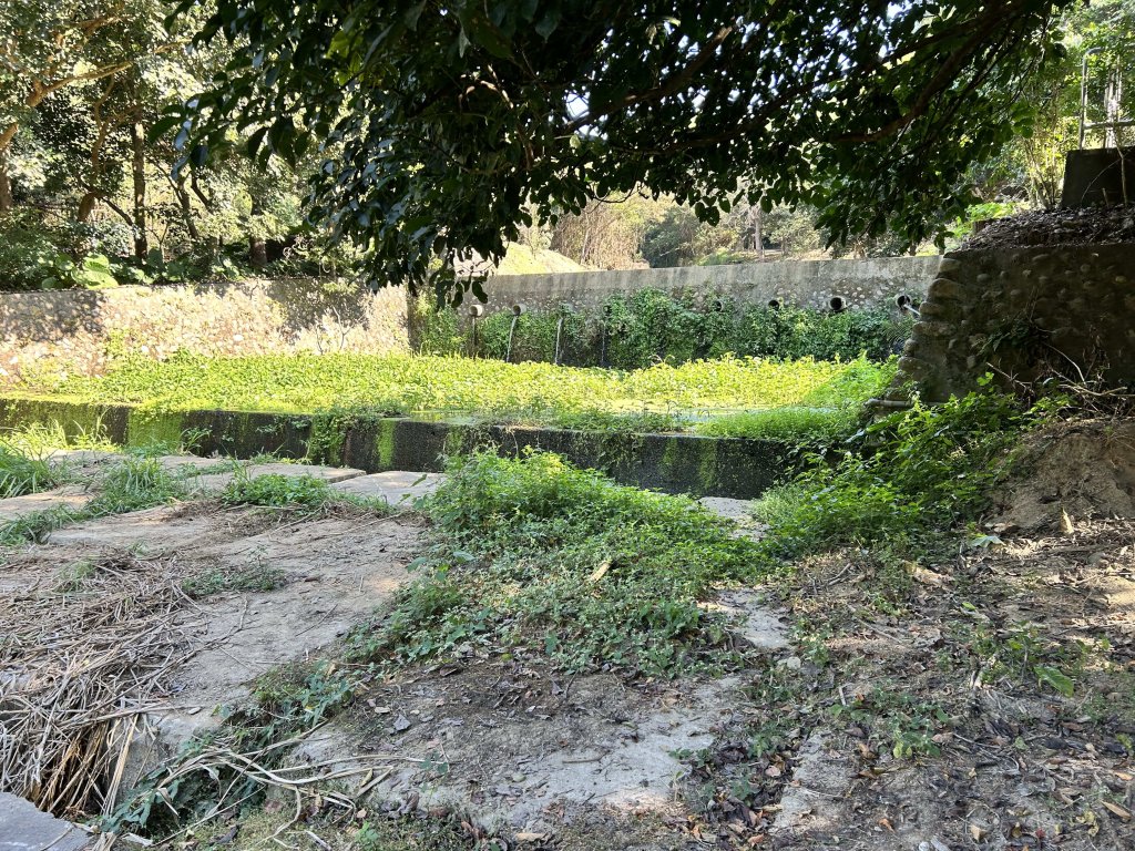 松柏嶺登廟步道_2957395