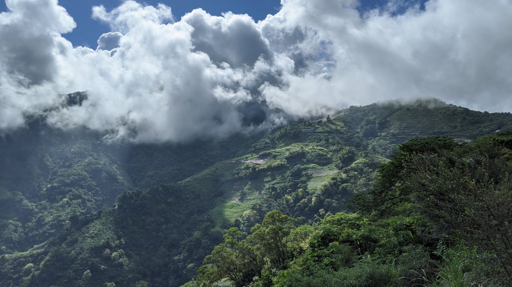 太麻里金針山步道_1321554