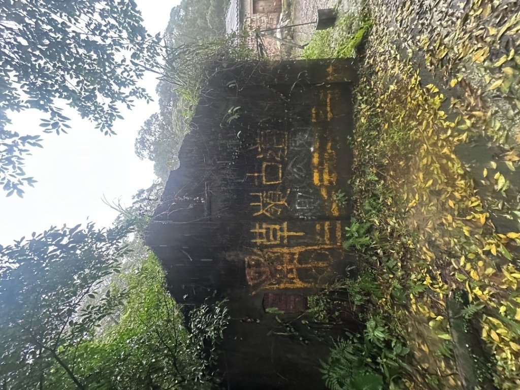 2024草嶺古道芒花季草嶺古道_2644781