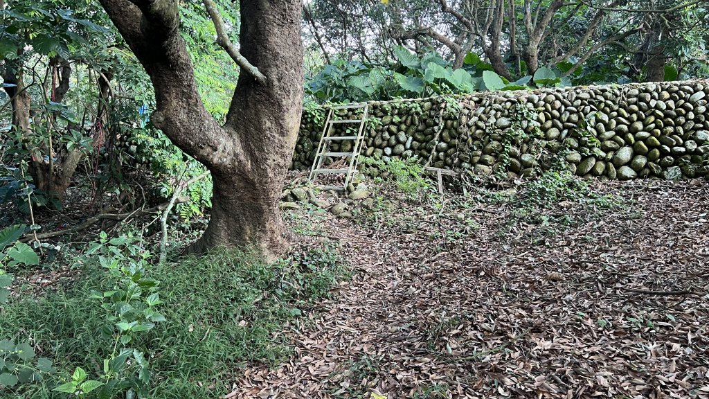 員林待人坑-隴頂步道-萬里長城環繞_20230924_2353562