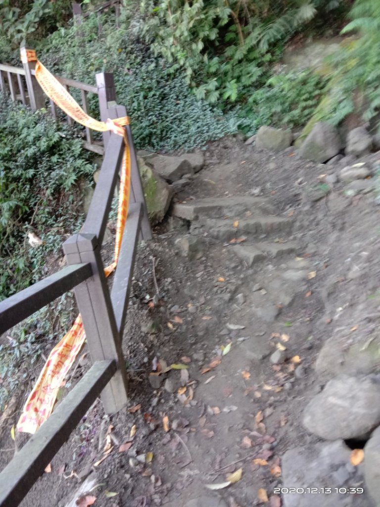  步道巡訪員 l 崁頭山步道12月份巡禮_1204909