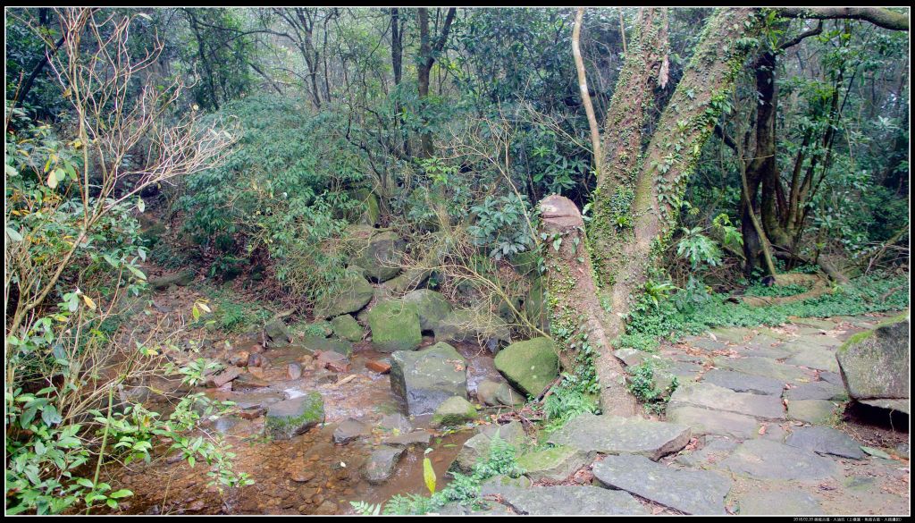 魚路古道-大油坑山-挑硫古道_378836