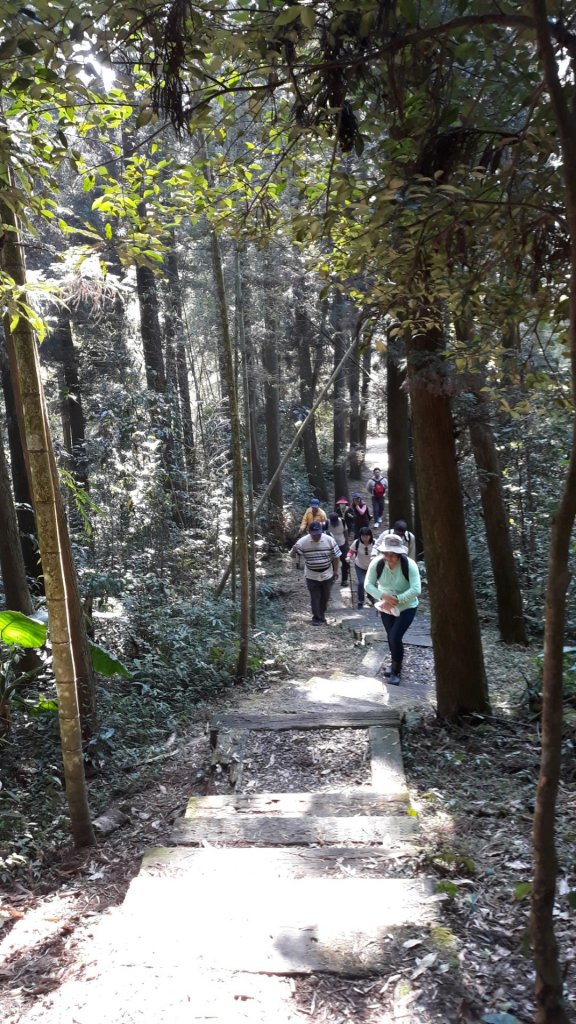 步道巡訪員│四大天王山步道三月巡訪日誌_871287