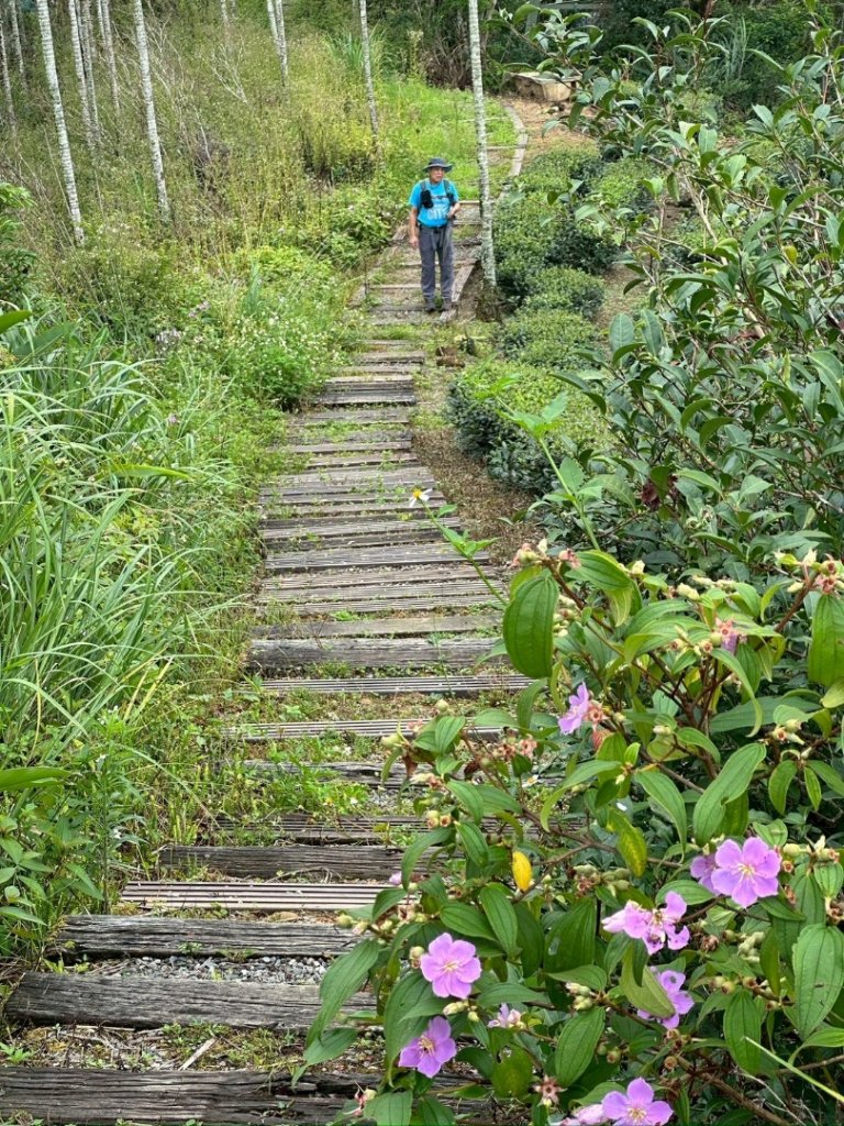 烏窟子山、獵貍尖山、黃櫸皮寮山、翡翠之眼O走_2809896