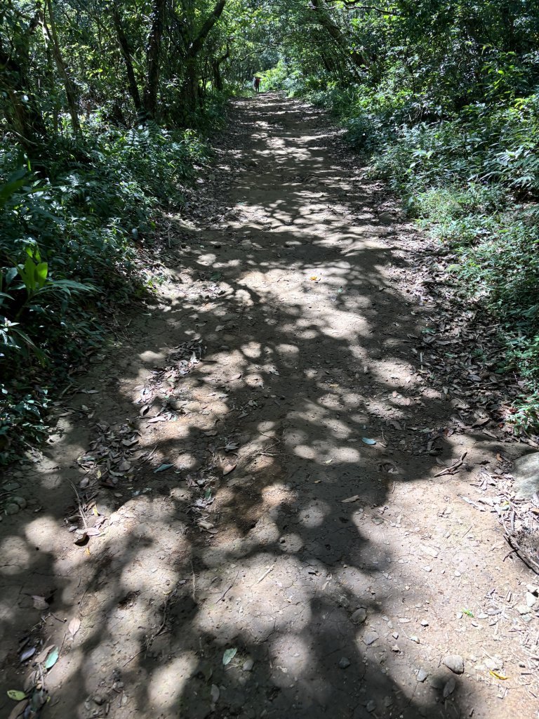 面天山、向天山、向天池_2921071