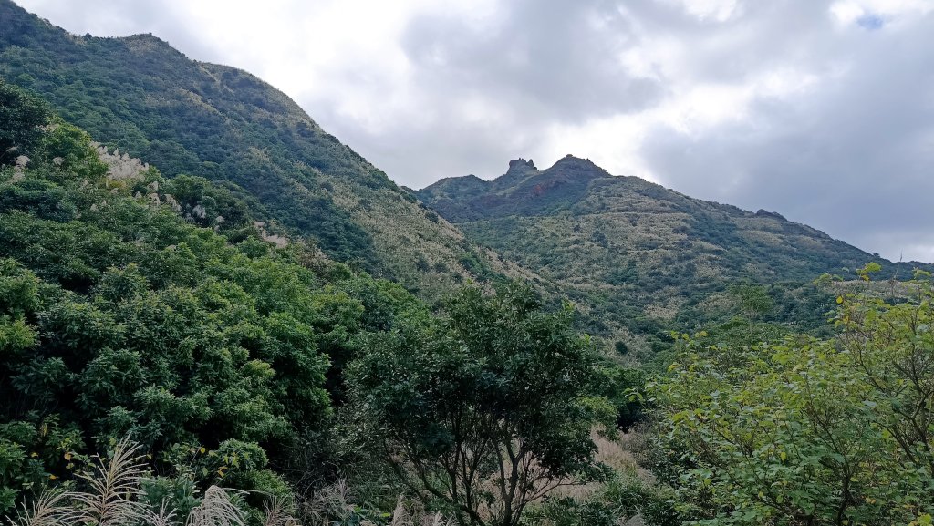找一個晴天去爬山~金瓜石芒花之旅_2962406