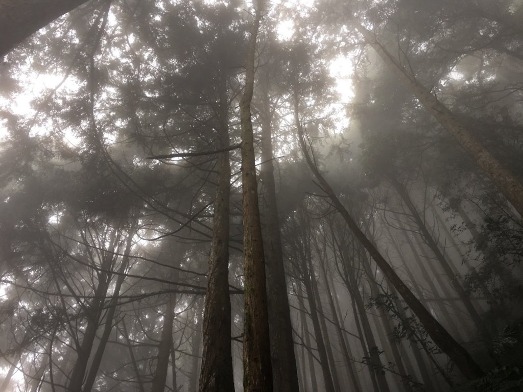 20200208_飛鳳山、油羅山_868186