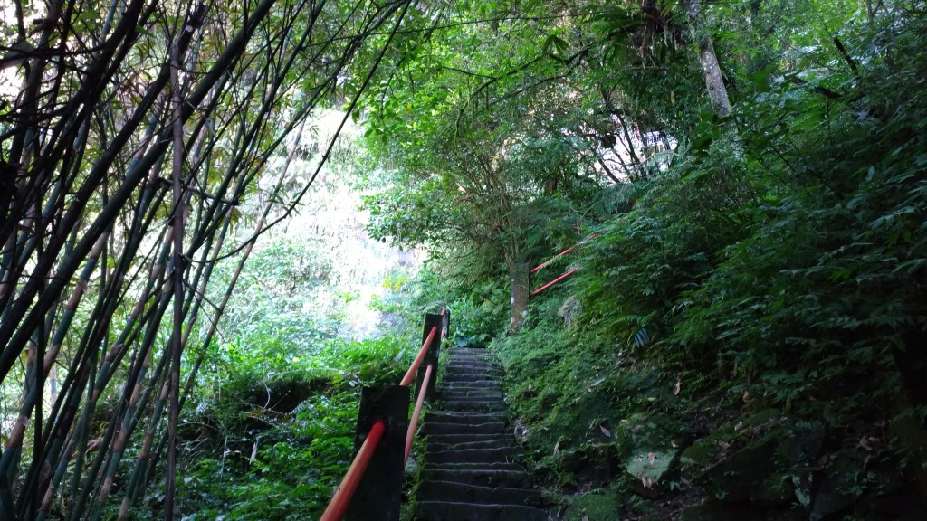 銀河洞越嶺步道+待老坑山+鵝角格山_254945