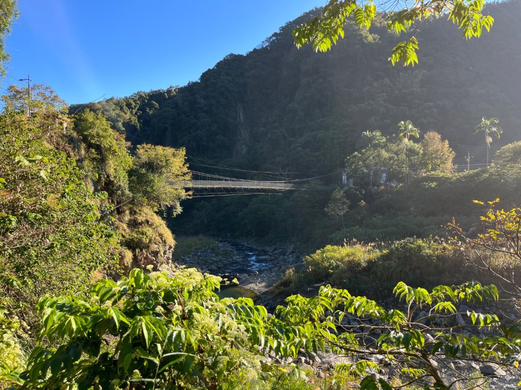 20231127_觀霧榛山步道（森遊竹縣）封面圖