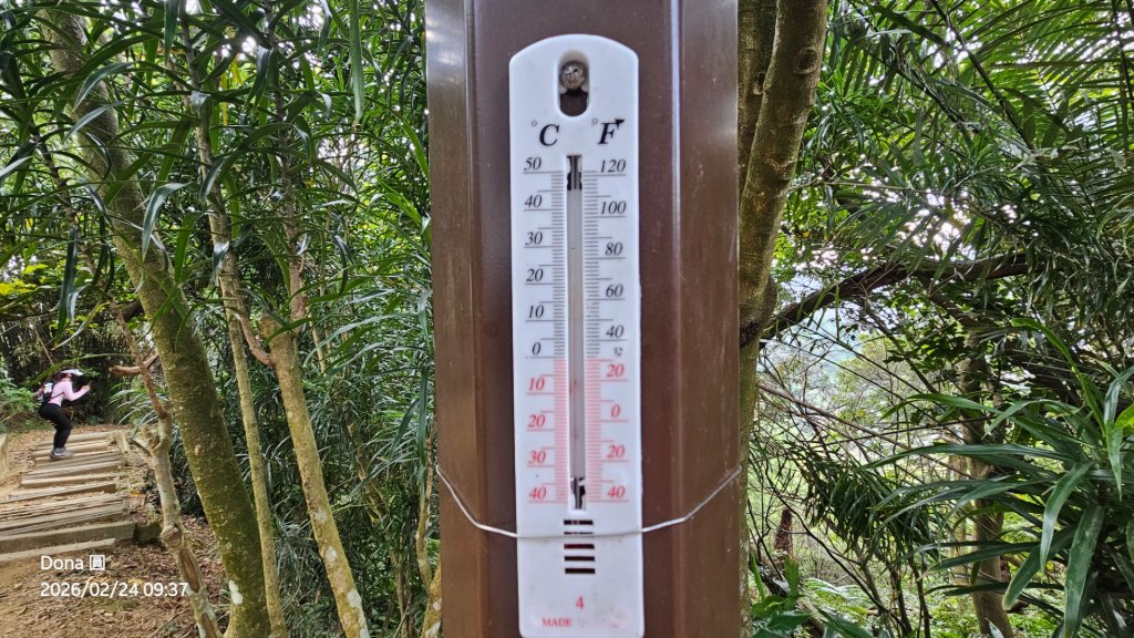 圓通寺烘爐地登山步道大O走_3006988