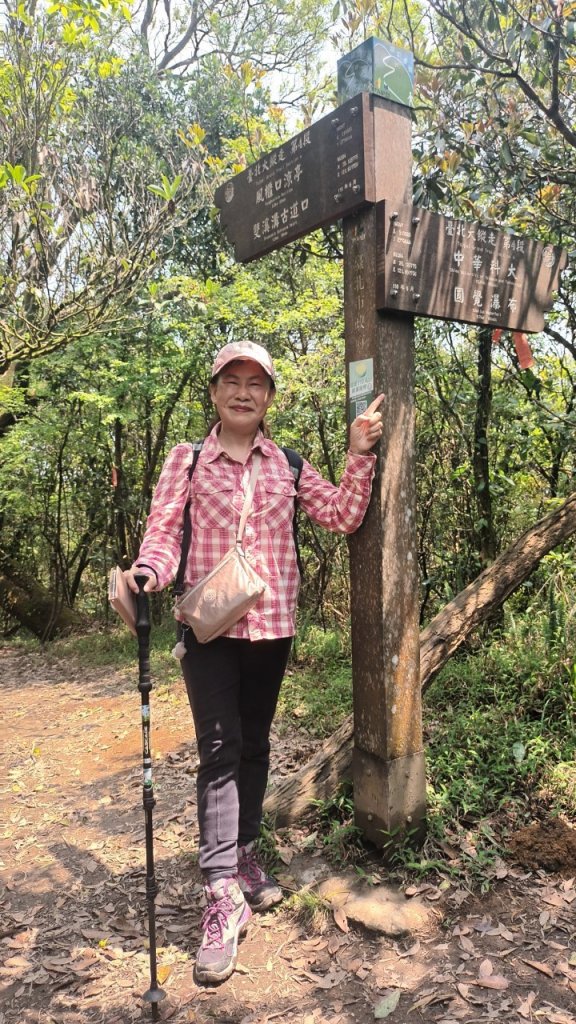 【臺北大縱走 4】2-1 風櫃嘴→雙溪溝古道→五指山古道→大崙頭山北面步道→碧山路_2113339