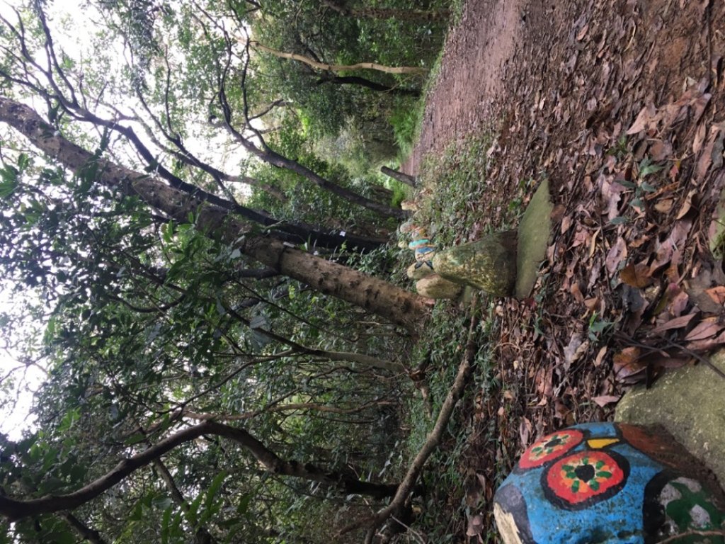 五酒桶山、南崁山_2693362