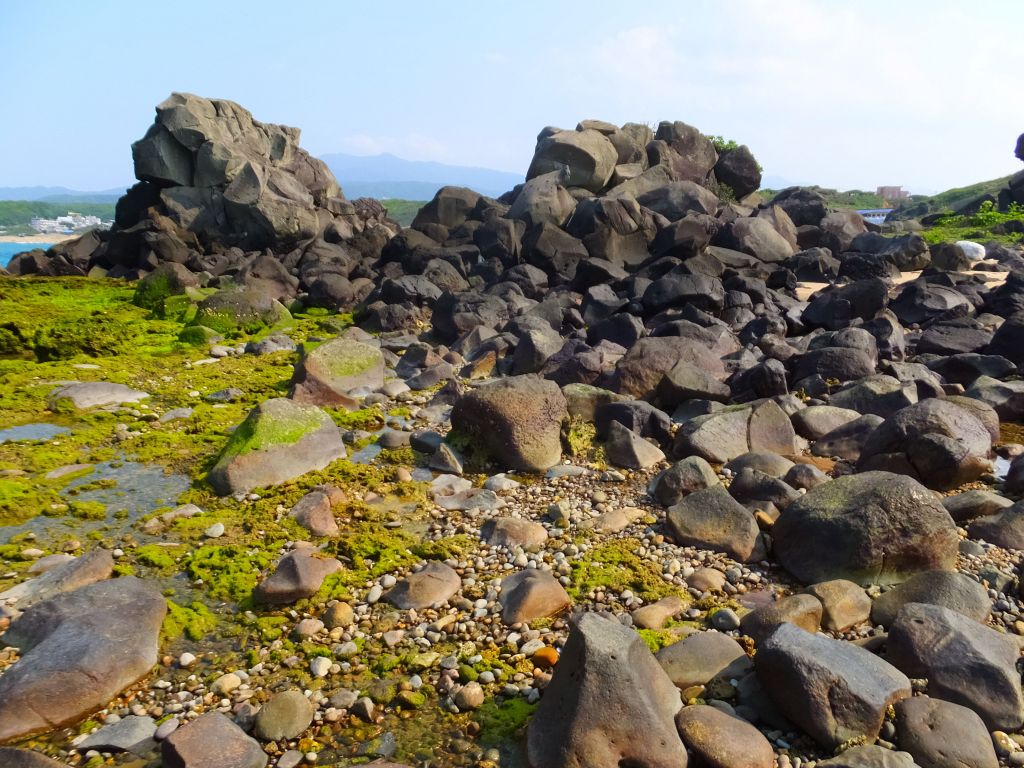 【海邊步道】走麟山鼻步道 賞台灣百合_303685