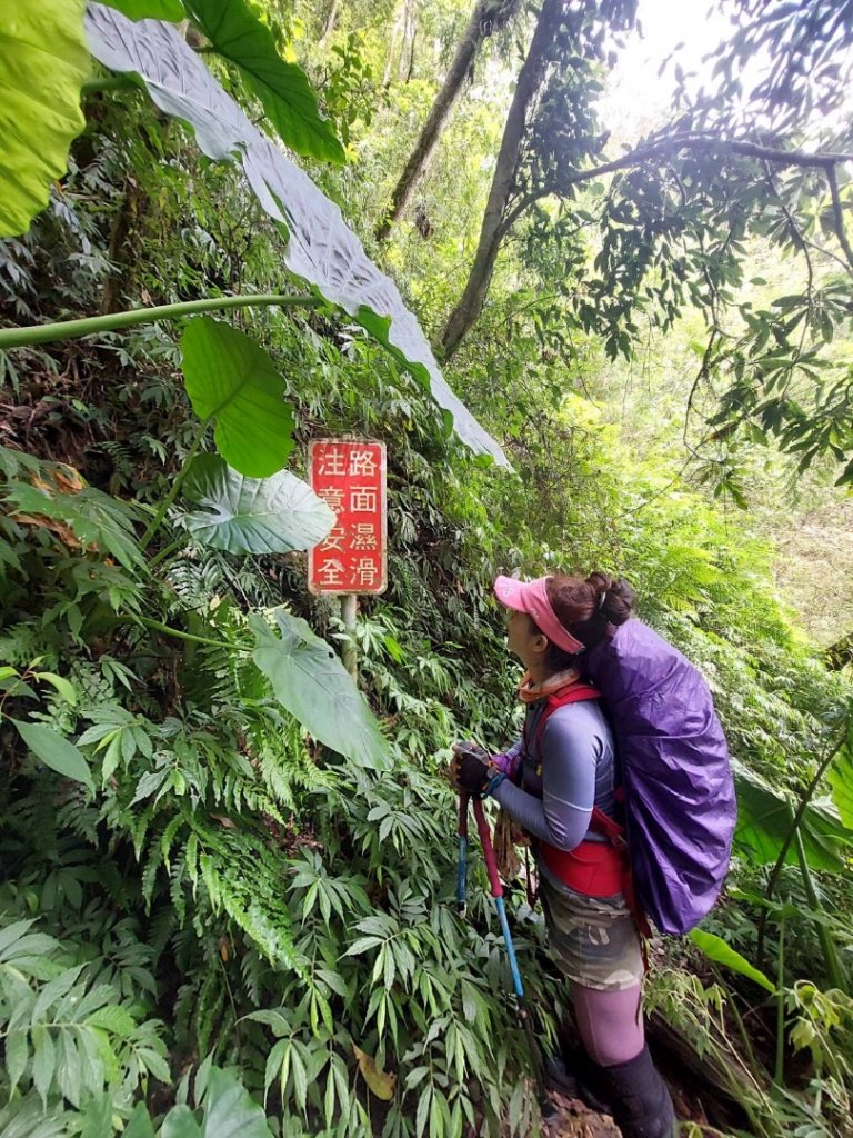 哈盆越嶺古道10k野營_2300814