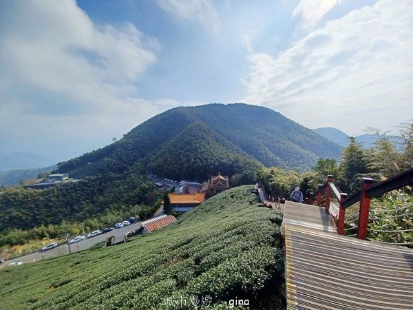 【雲林古坑】 翠綠茶園太迷人走到廢腿也甘心_雲嘉五連峰縱走_2437469