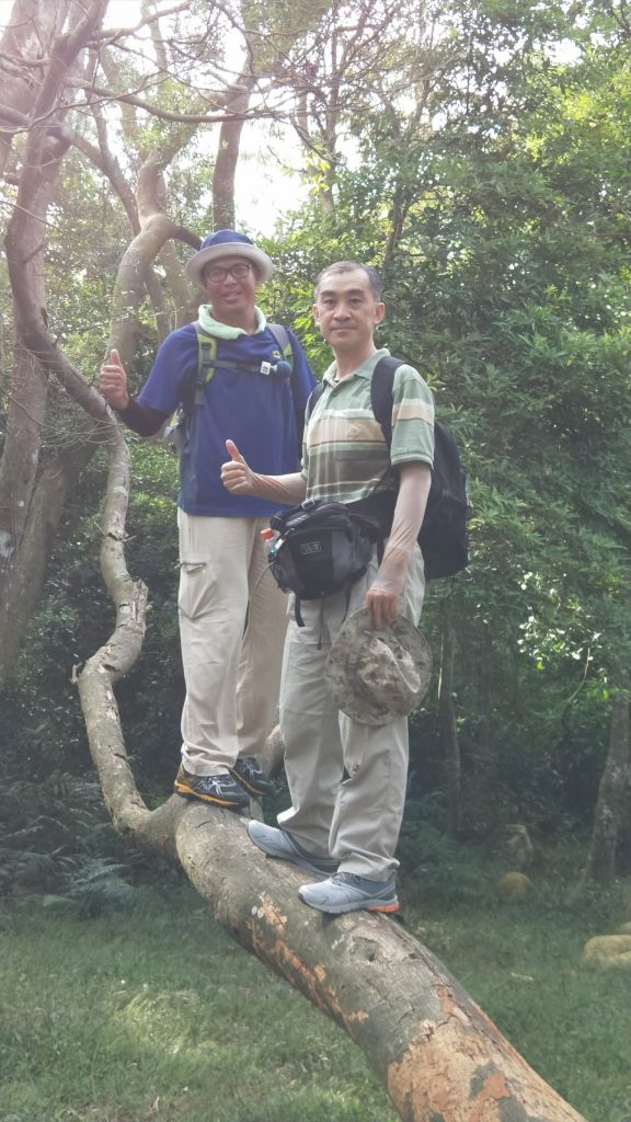 挑炭古道(三通嶺古道) 苗栗三義 2017 09 30_175392