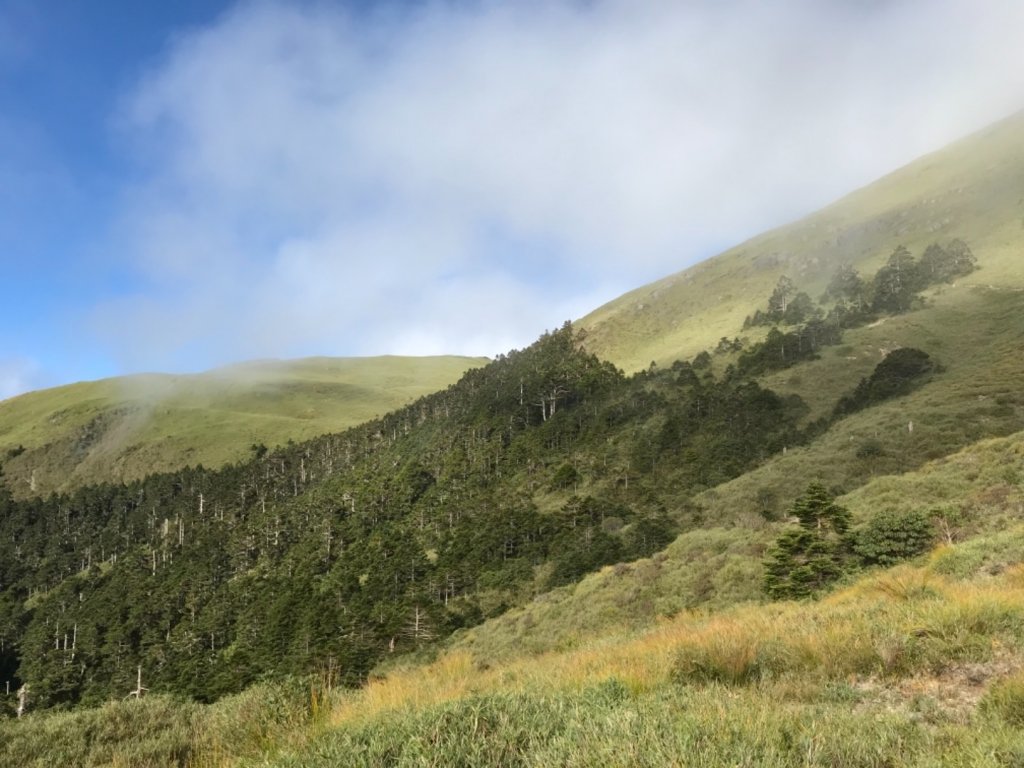 奇萊南華光被八表單攻_692107