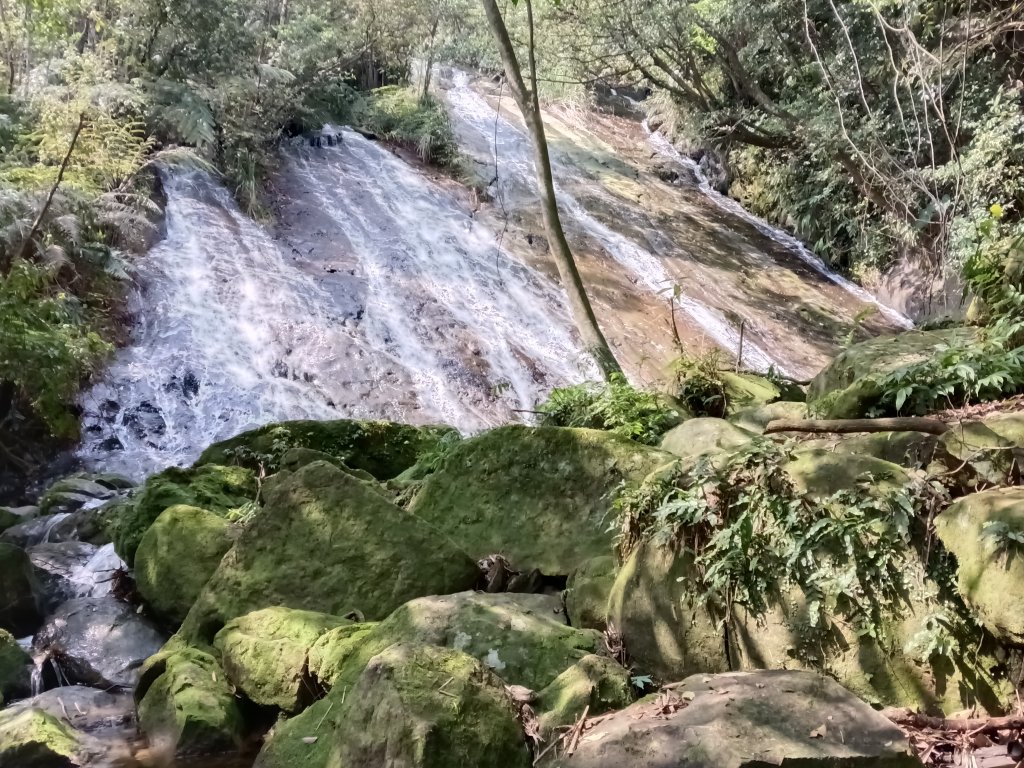 五指山古道+友蚋山南峰封面圖