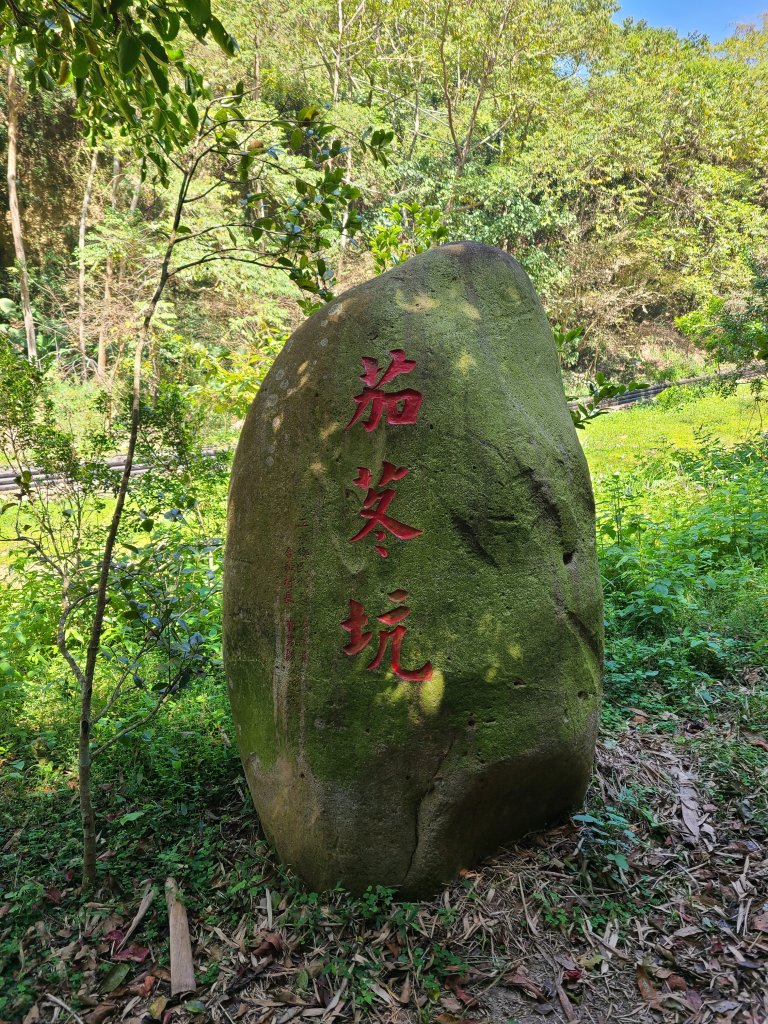 坑內坑後段超級曬封面圖