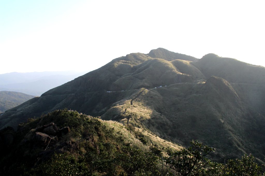 【金瓜石】漫山芒花怒放浪漫，礦山藍海奇景夢幻！_2964190