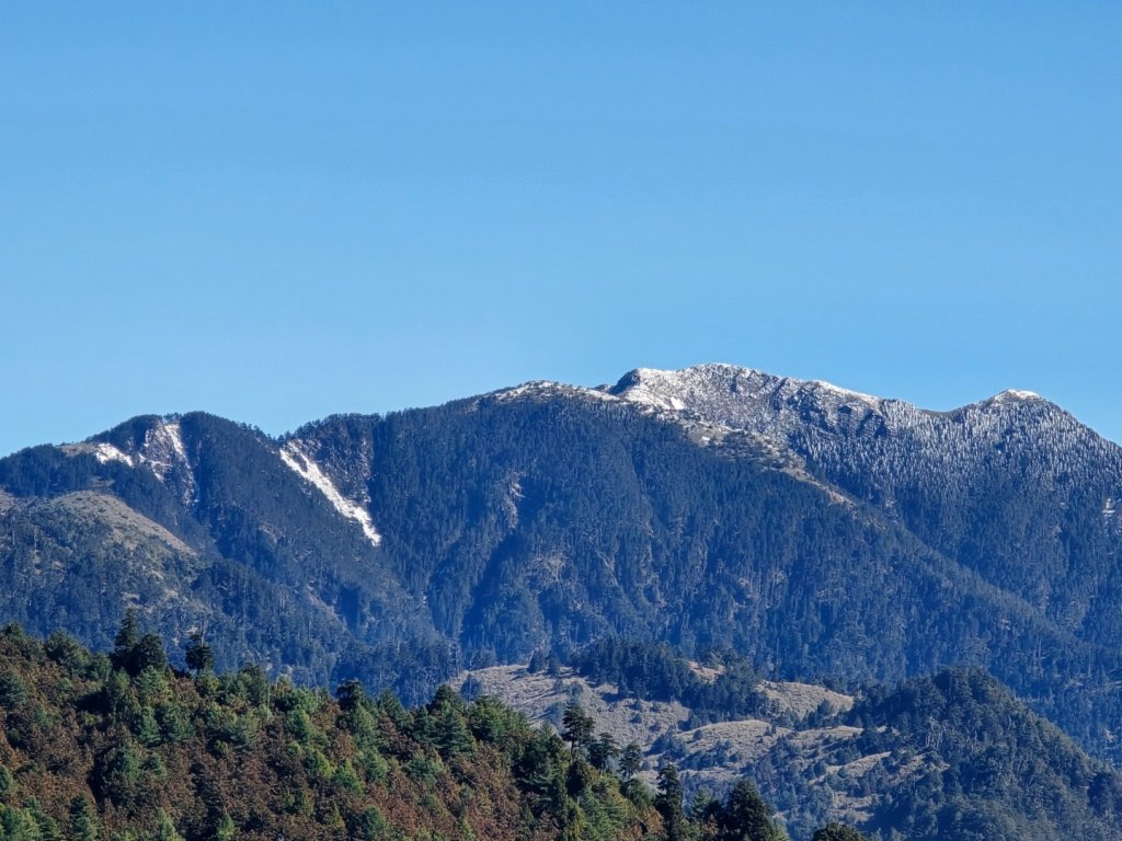 大雪山國家森林遊樂區賞楓／看神木／賞雪白山頭／賞大景_2974214