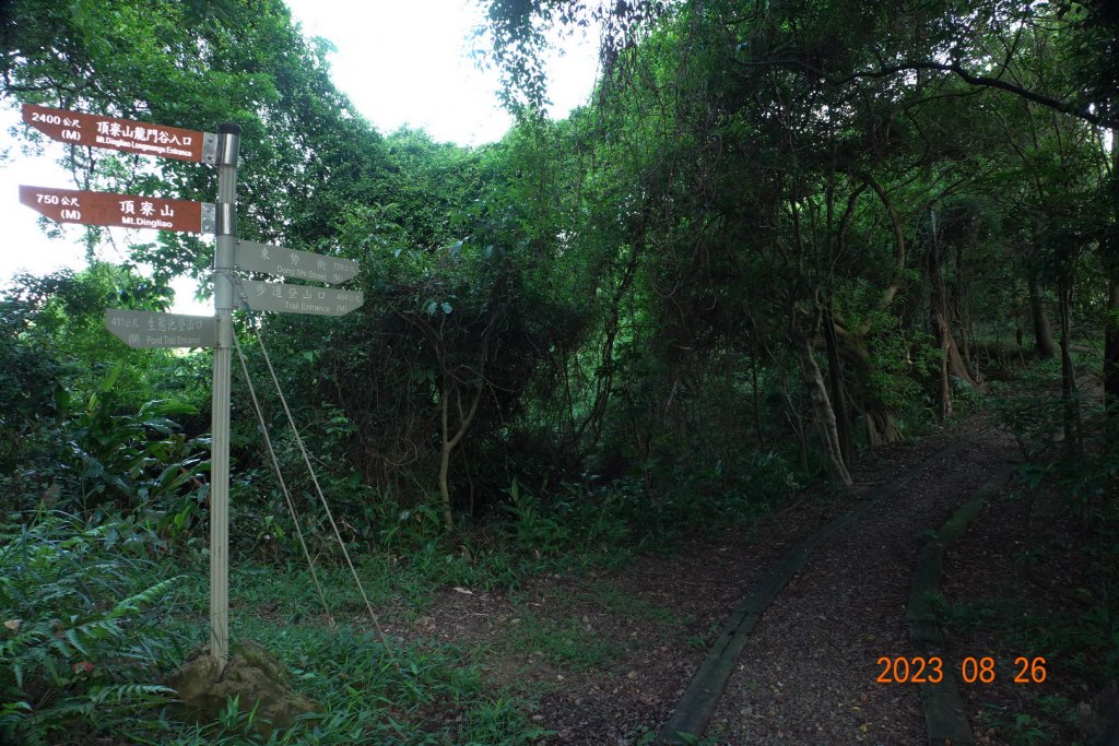 基隆 頂寮山、龍門山、五分山、頂子寮山_2265919