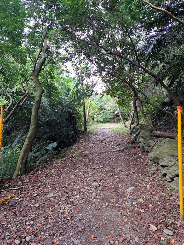砂卡礑二日行D1：得卡倫步道→大禮部落→砂卡礑林道→立霧山→大同部落20231202_2368210