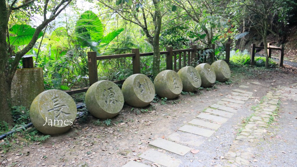 20180927小半天長源圳生態步道_418725