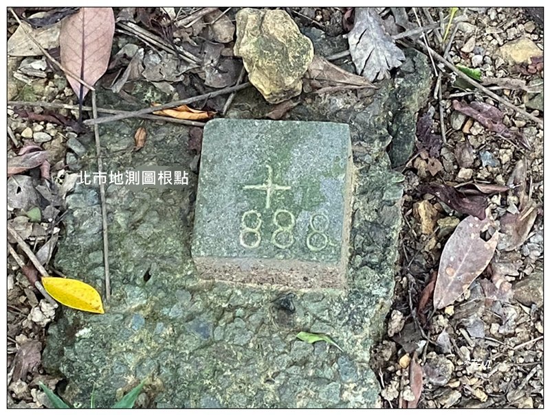 金龍湖、鷹石尖、老鷲尖、內溝山 O型一圈_2966633