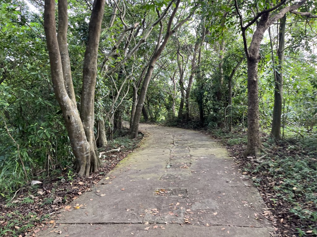 [山頂鳥40周年會員大縱走-14/15] 2024_0804 劍潭山親山步道_2566189