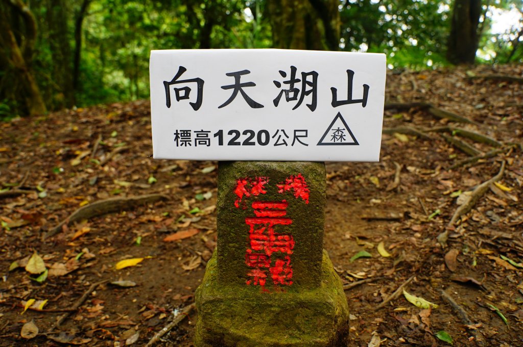 苗栗 南庄 光天高山、向天湖山封面圖