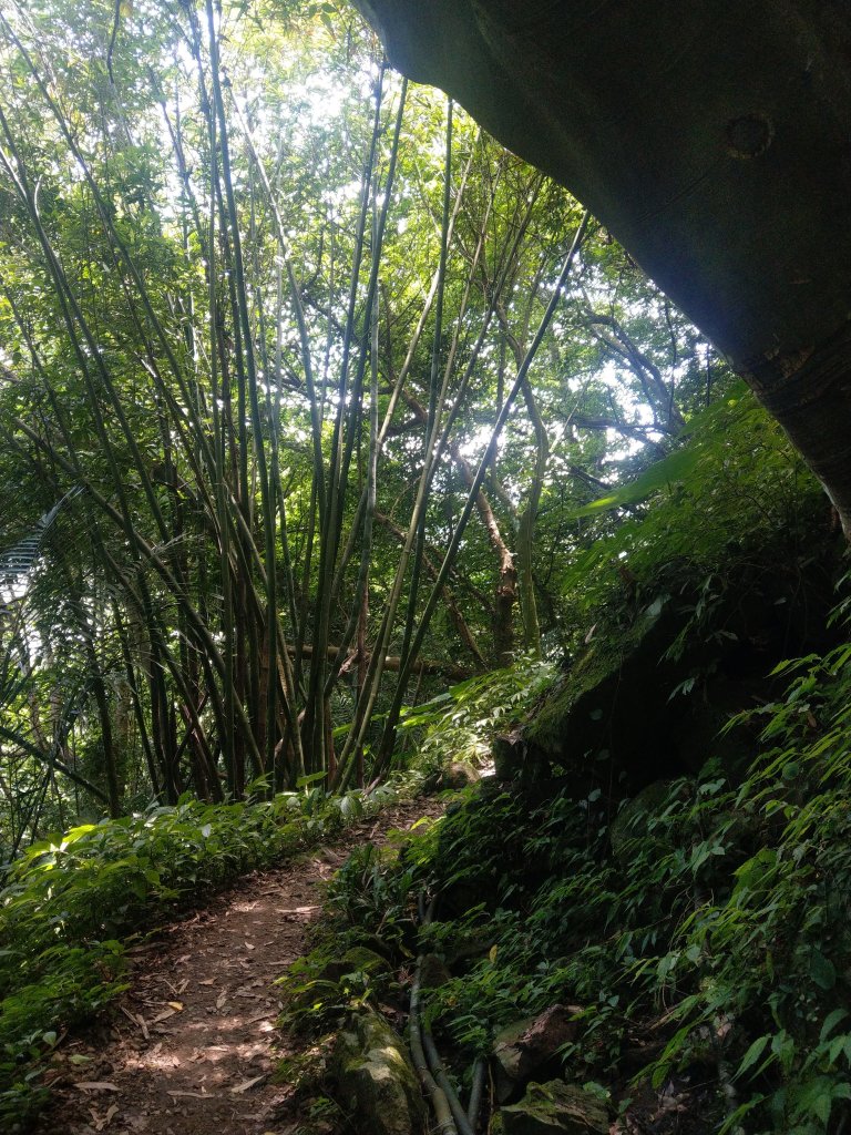 南坪、馬胎古道_1001710