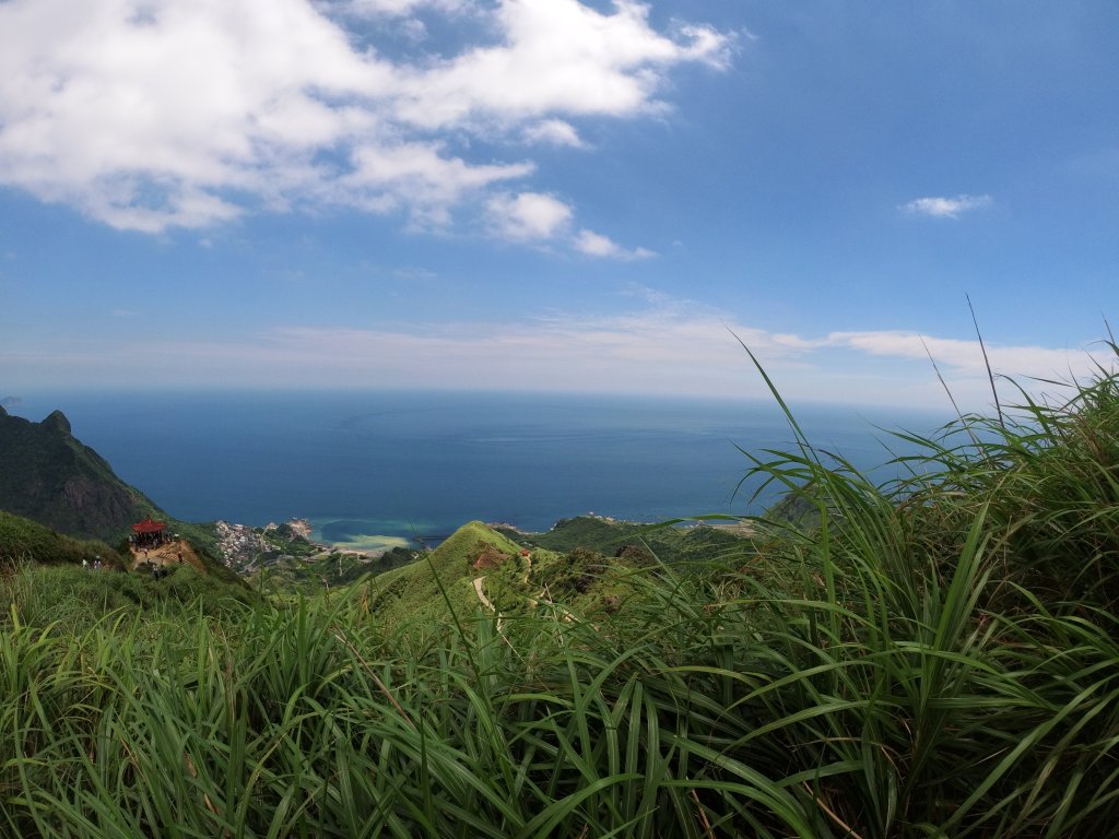 無耳茶壺山接半屏山封面圖