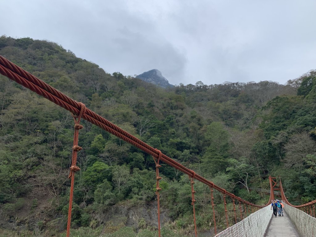 【中級山】明知山沒虎，偏向虎山行_2441968