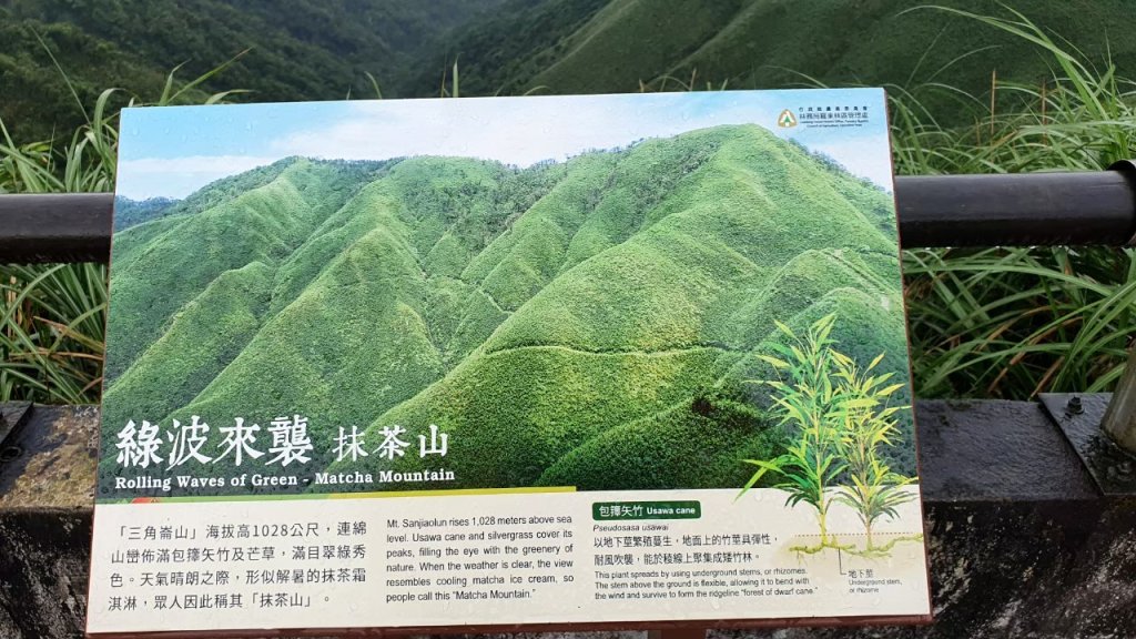 【中級山】宜蘭抹茶山（三角崙山），聖母登山步道，五峰旗瀑布_2741075