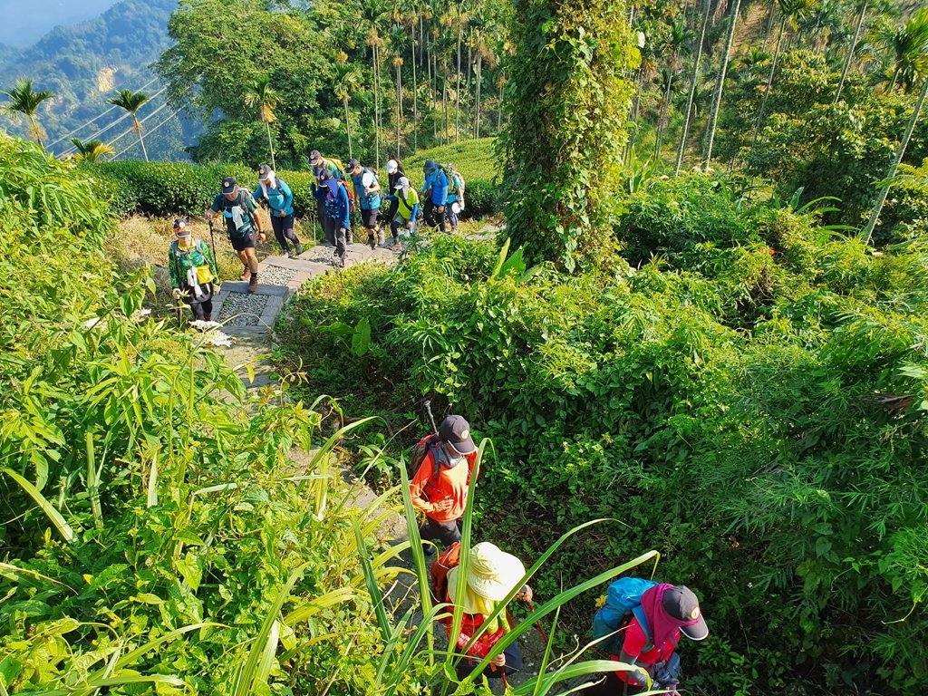 【雲嘉】後棟山連走大二尖山_1478432