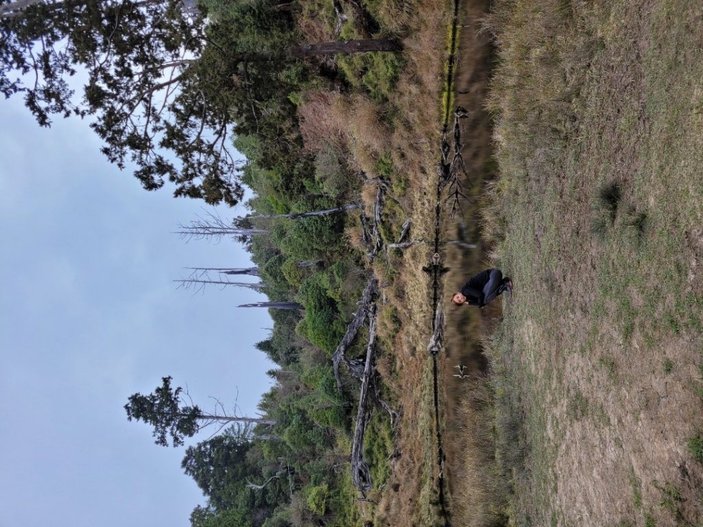 加羅湖、加羅山_1321763