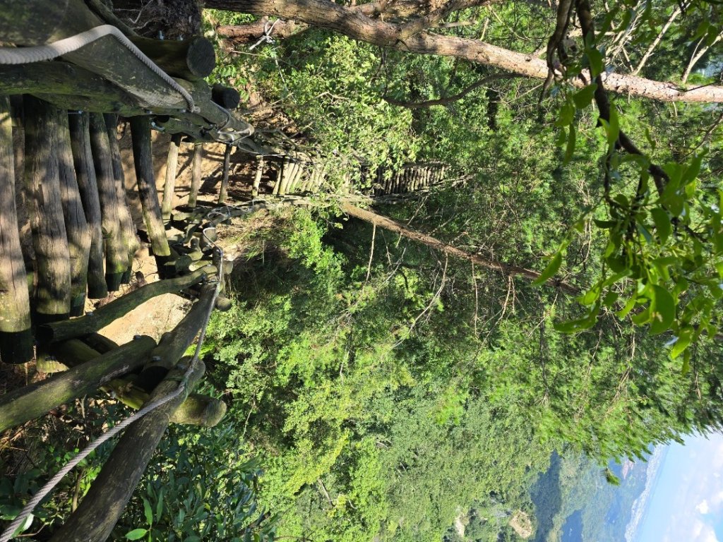 台中大坑四號登山步道（毀損）_2563663