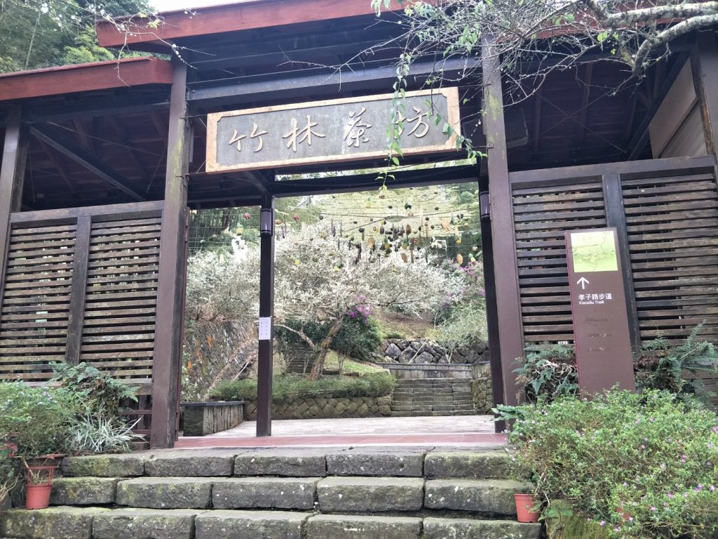 雲嘉七連峰_1560705