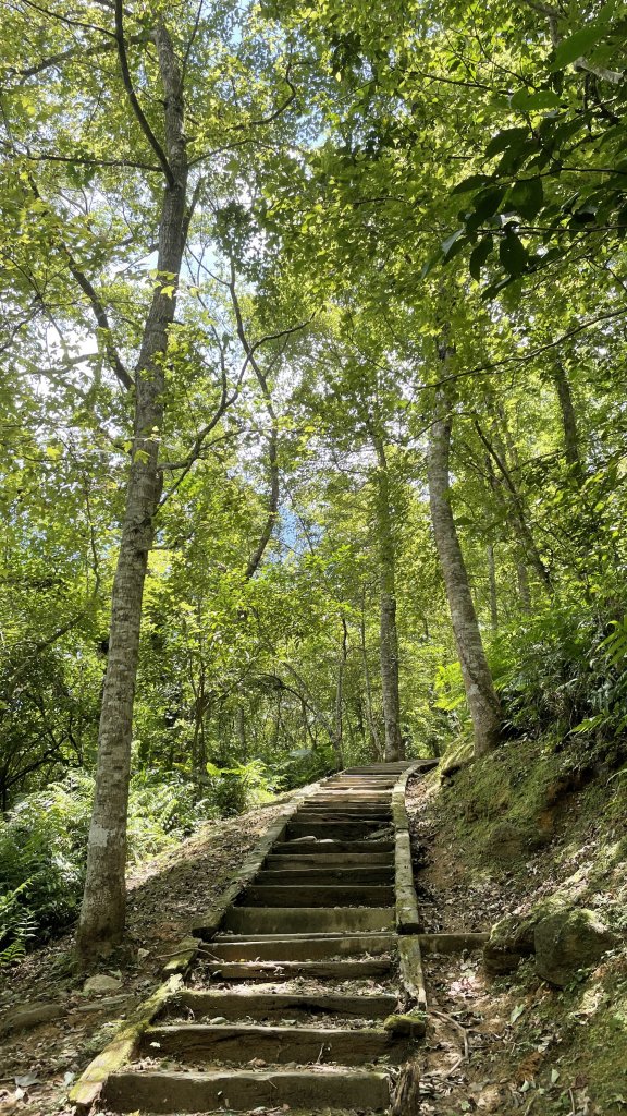 花蓮鯉魚山（小百岳編號：８９）我們包場了_1741258