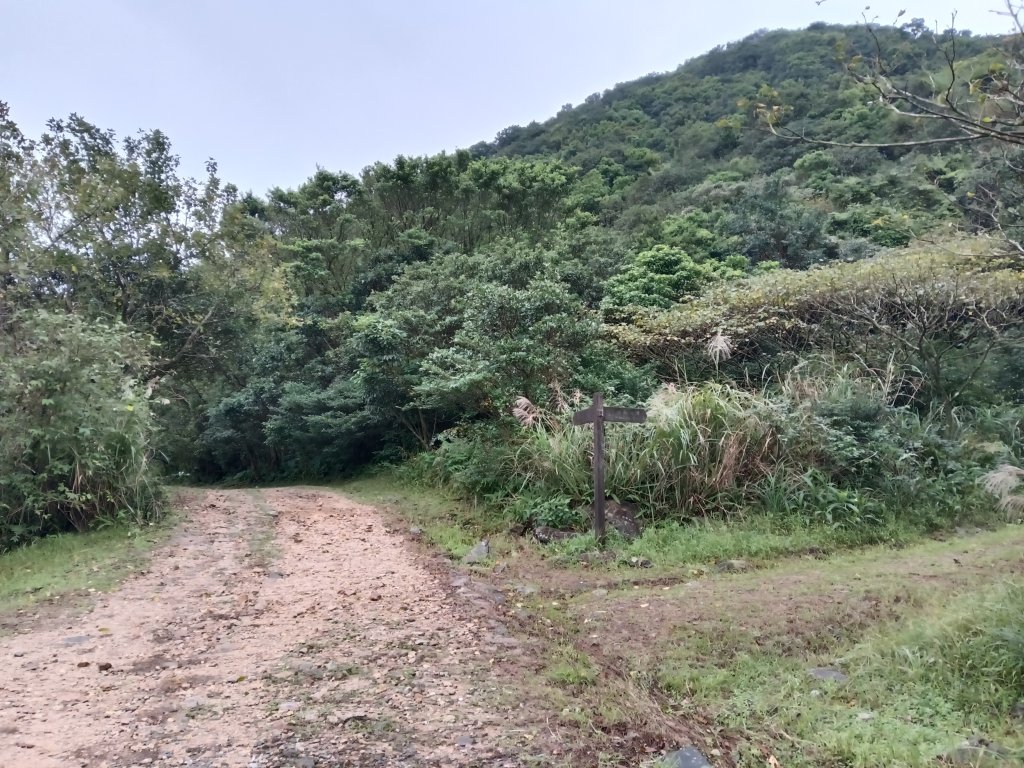 瑞芳區本山地質公園步道+草山公路+百二崁古道+樹梅坪古道O型_2945506